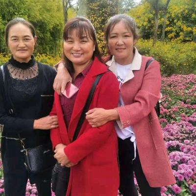 忘记烦脑
