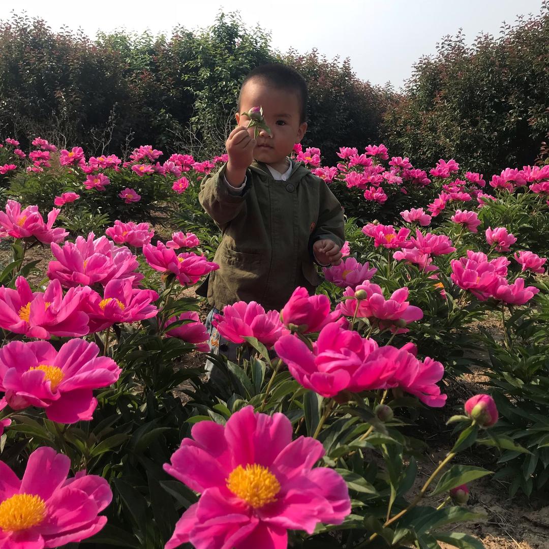 用户4483426301504艳艳