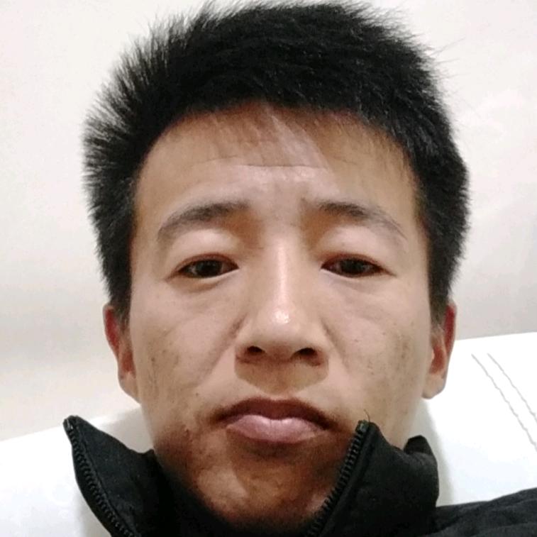 小灰灰