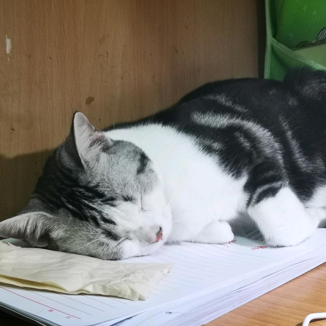 简昊焱