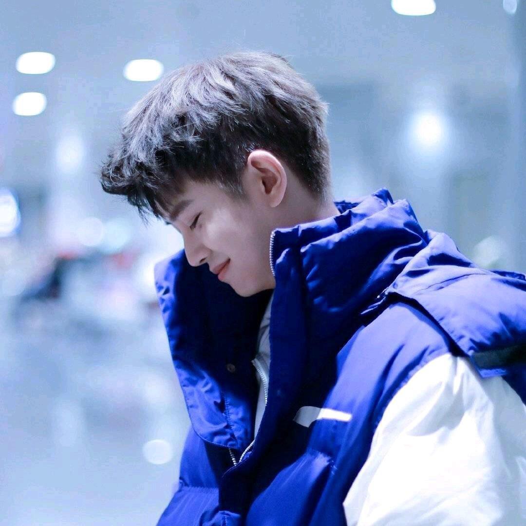 喜马拉雅山下的小破花