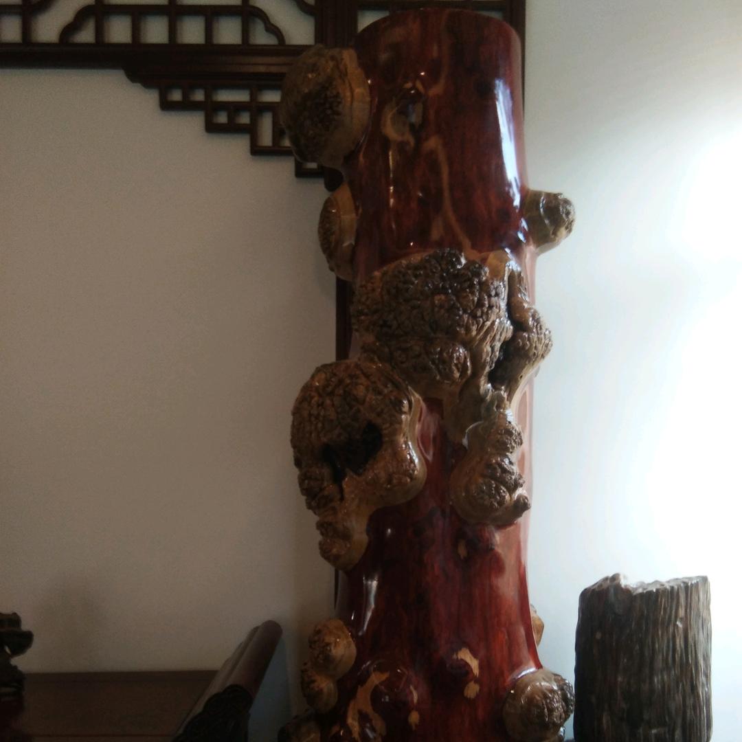 憨憨