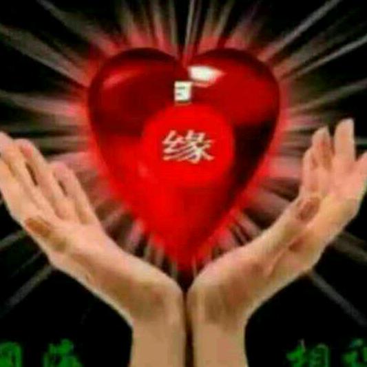 米琦多