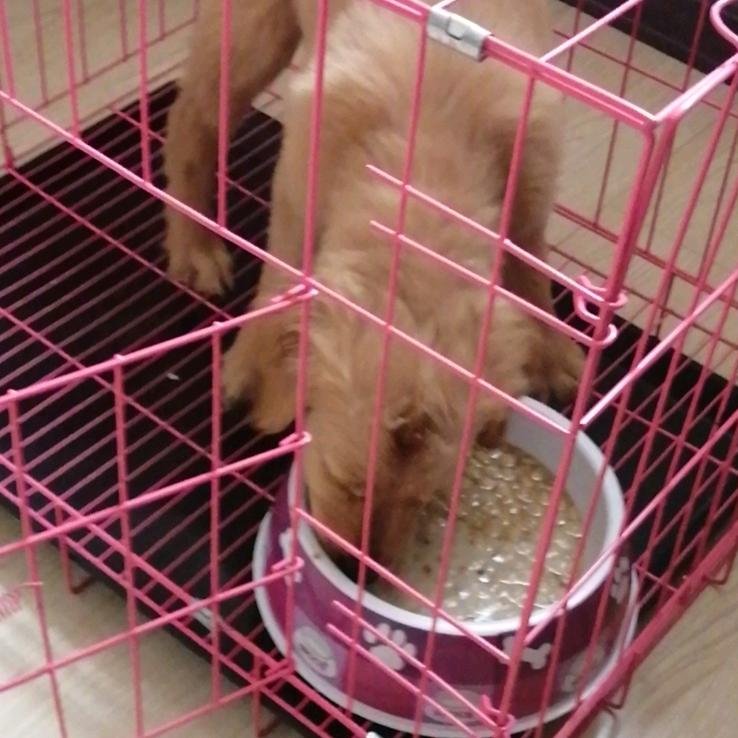 导演他还不肯脱