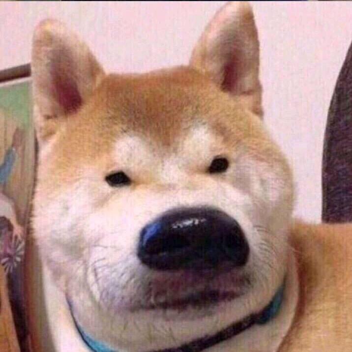 普通村民