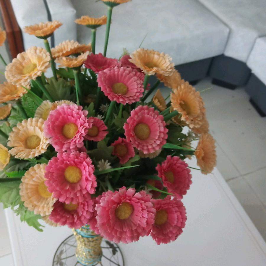 年年有余迎仙镇全友家居