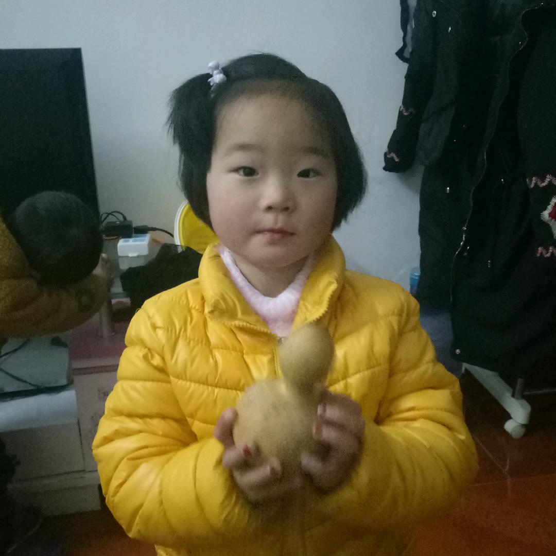 戏曲爱好者陶喜风