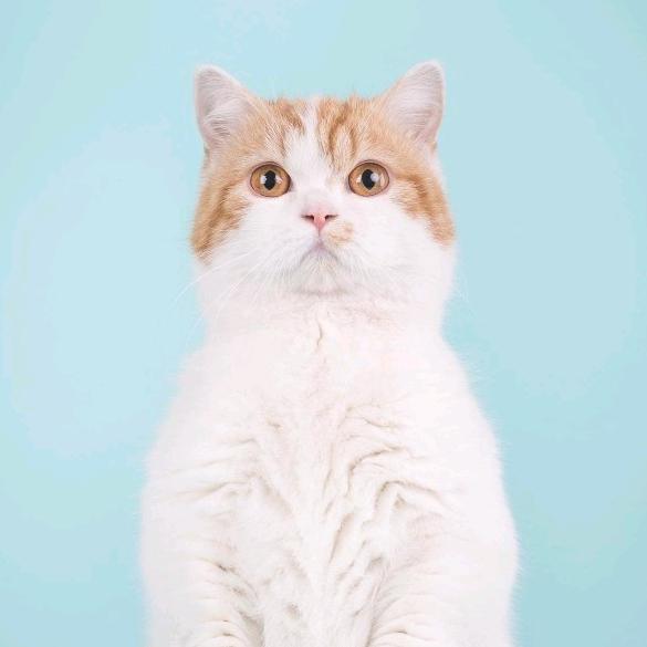 靠自己🌹🌹🌹