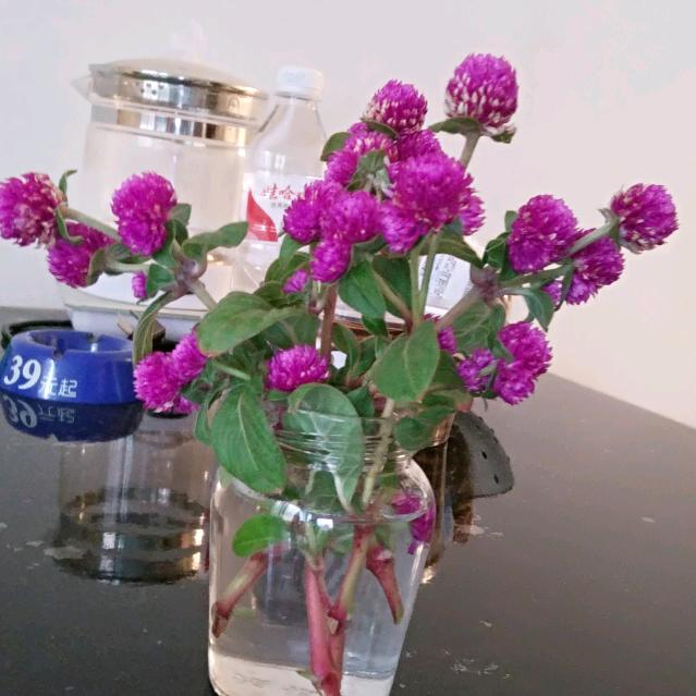 萍水相逢🌸🦋