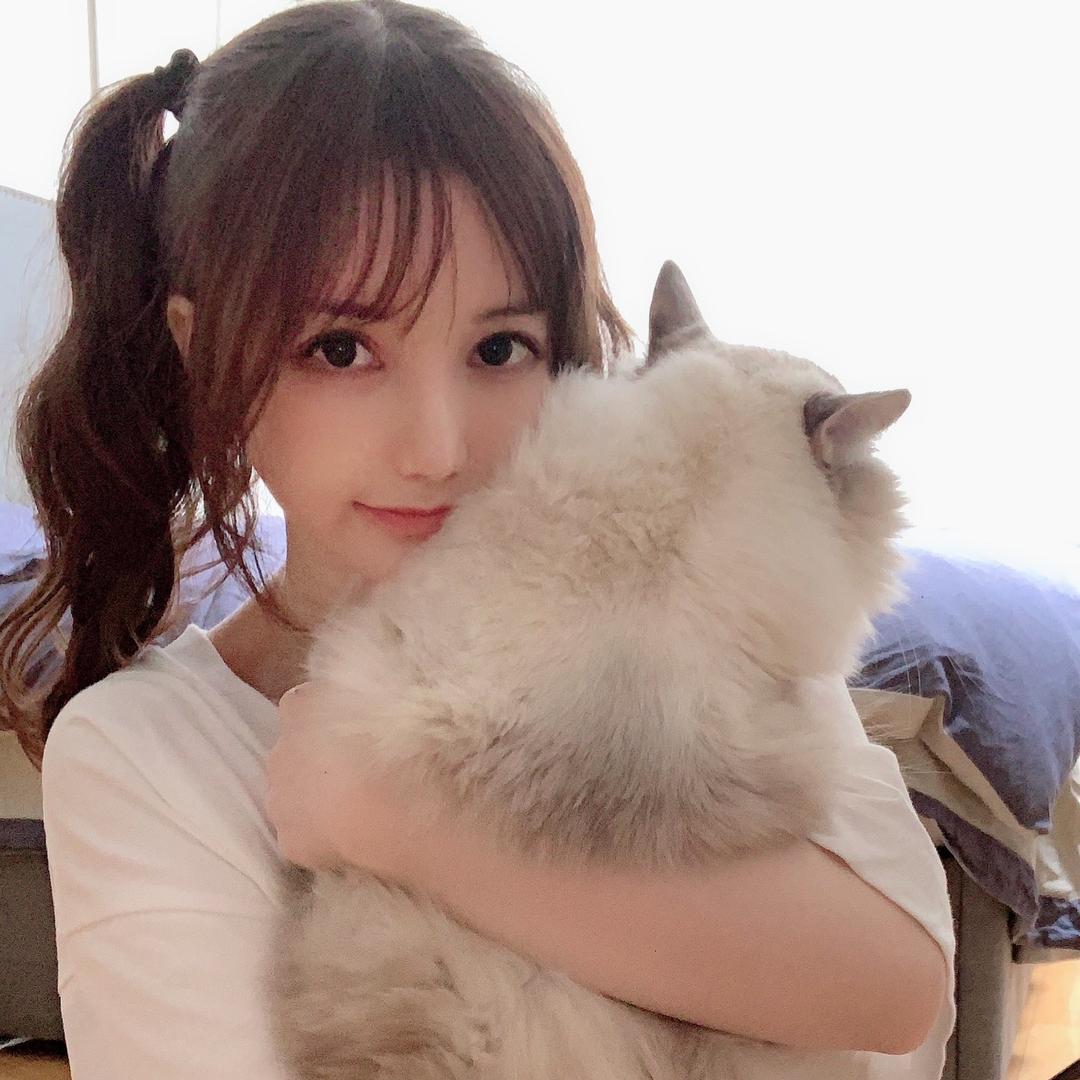一只胖虎