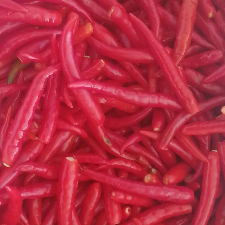 我家的卤肉