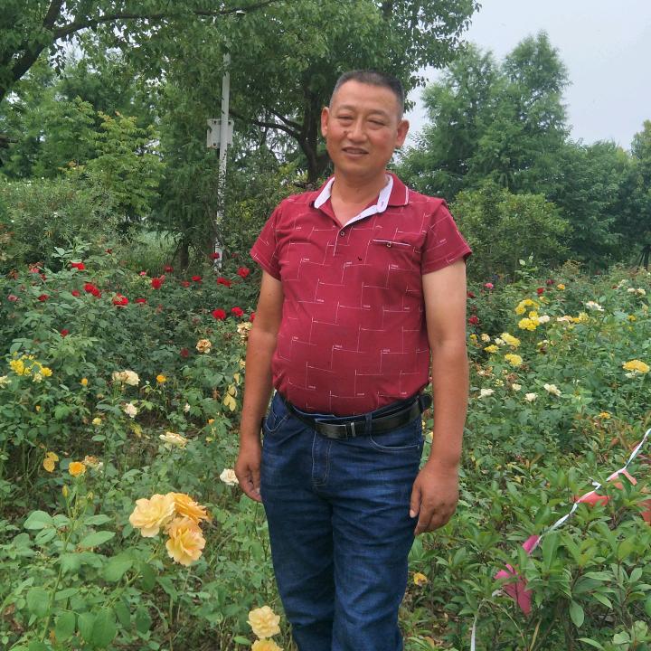 定远县电信哥