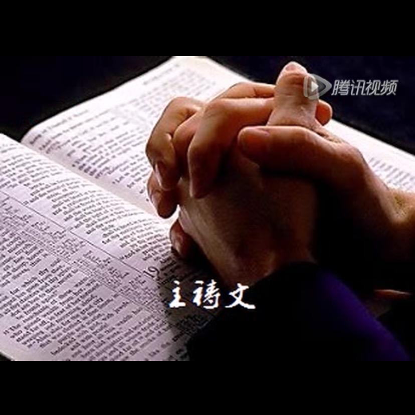 上海茂元食品黄浦分公司/木西