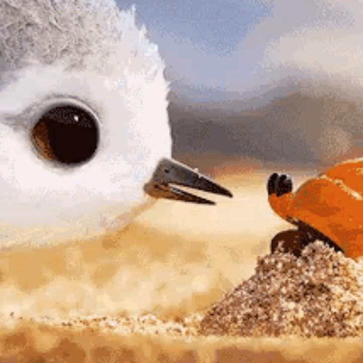 王红