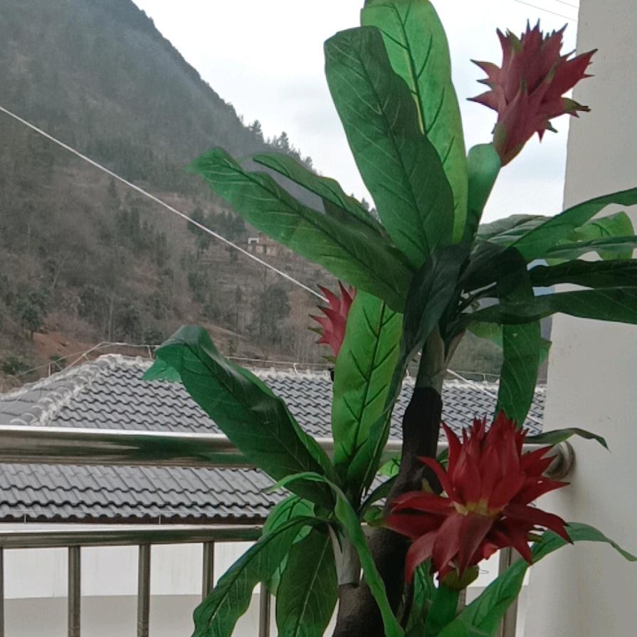 坚苦奋斗(爱好山歌)