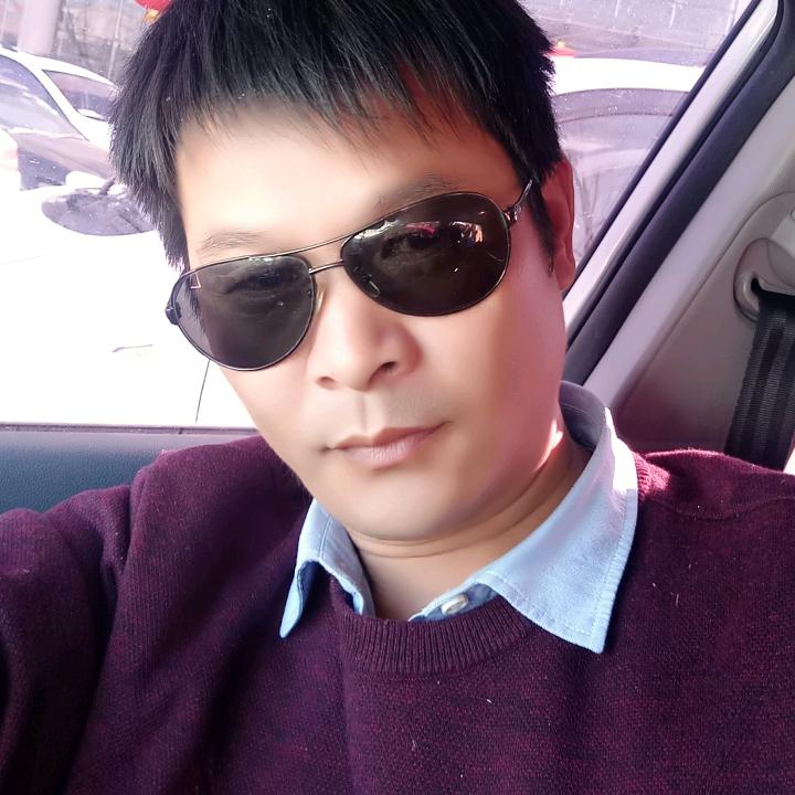 河南杨木经销'辉哥'