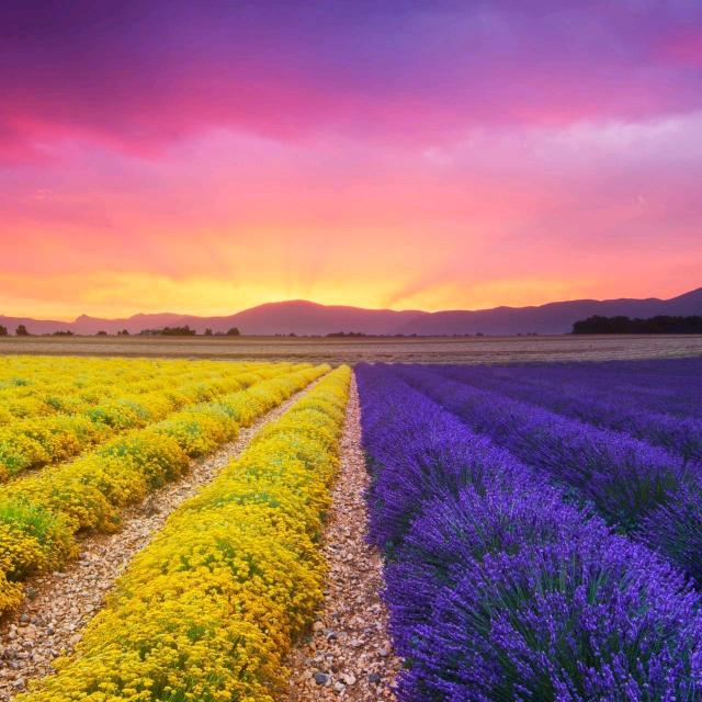 执子之手与子偕老