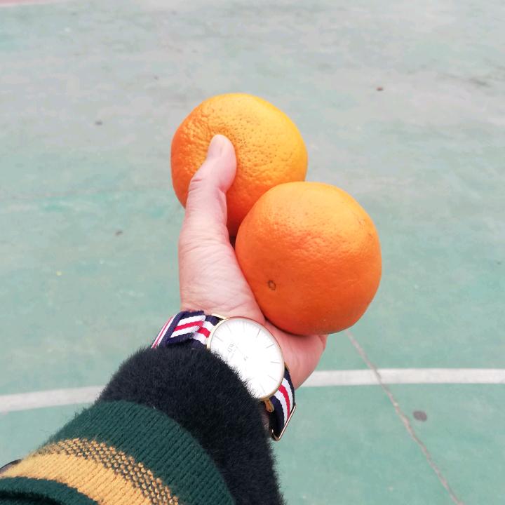 笨笨熊追综日常