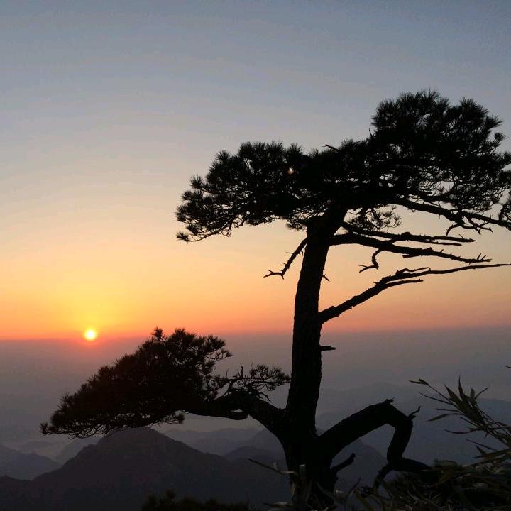 庆
