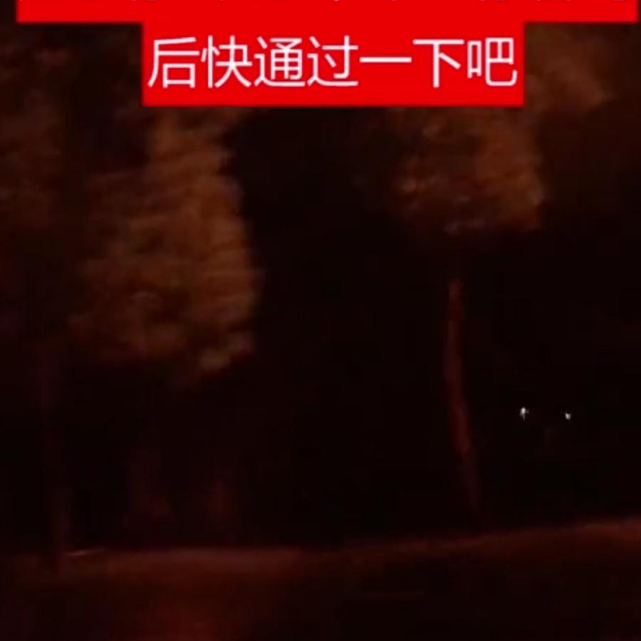 南叔