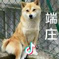 傻波一