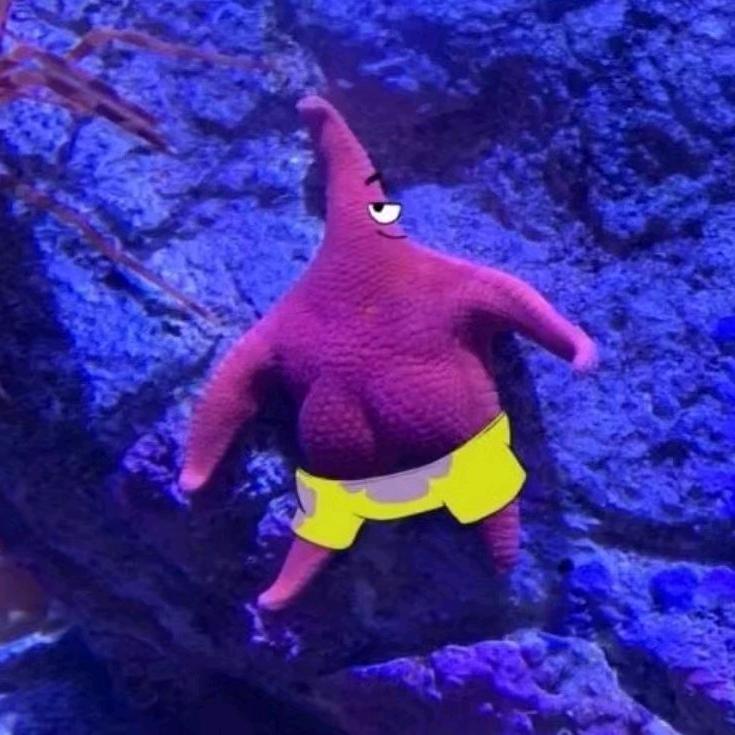 海大星