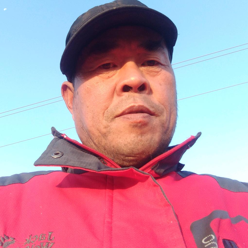 纵横龙啸九天