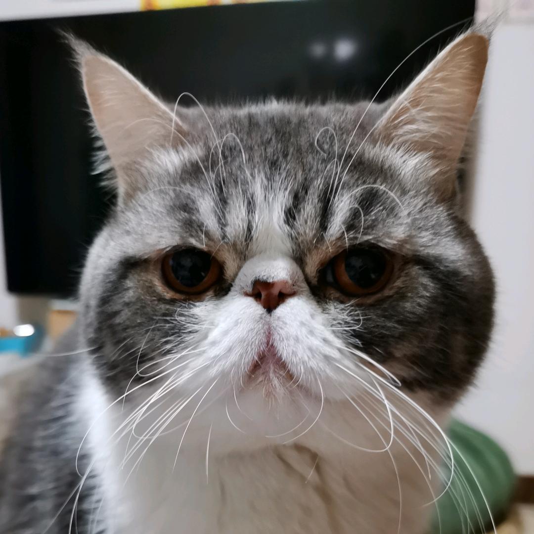 心有灵犀