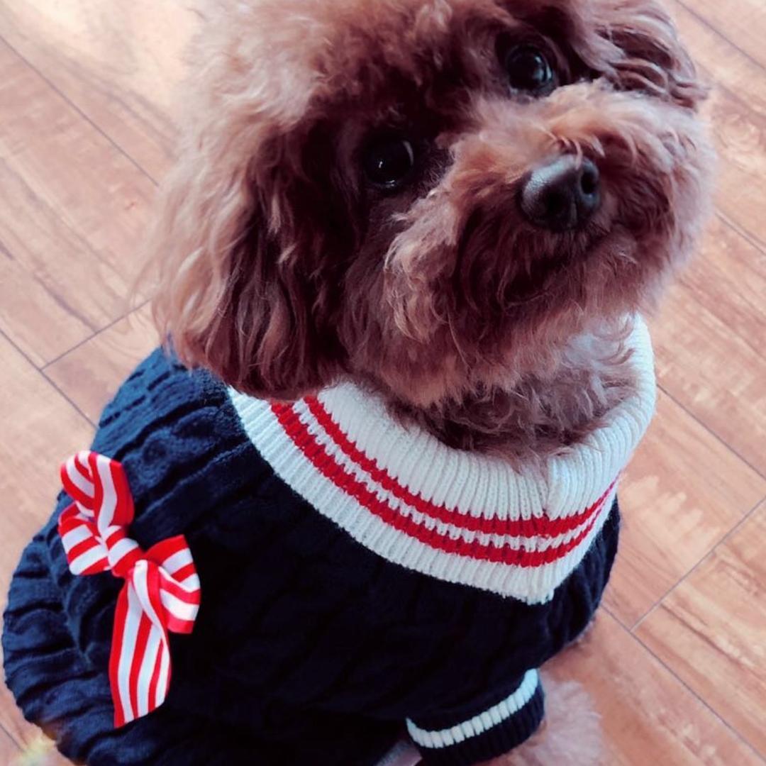 ✨辉姐✨