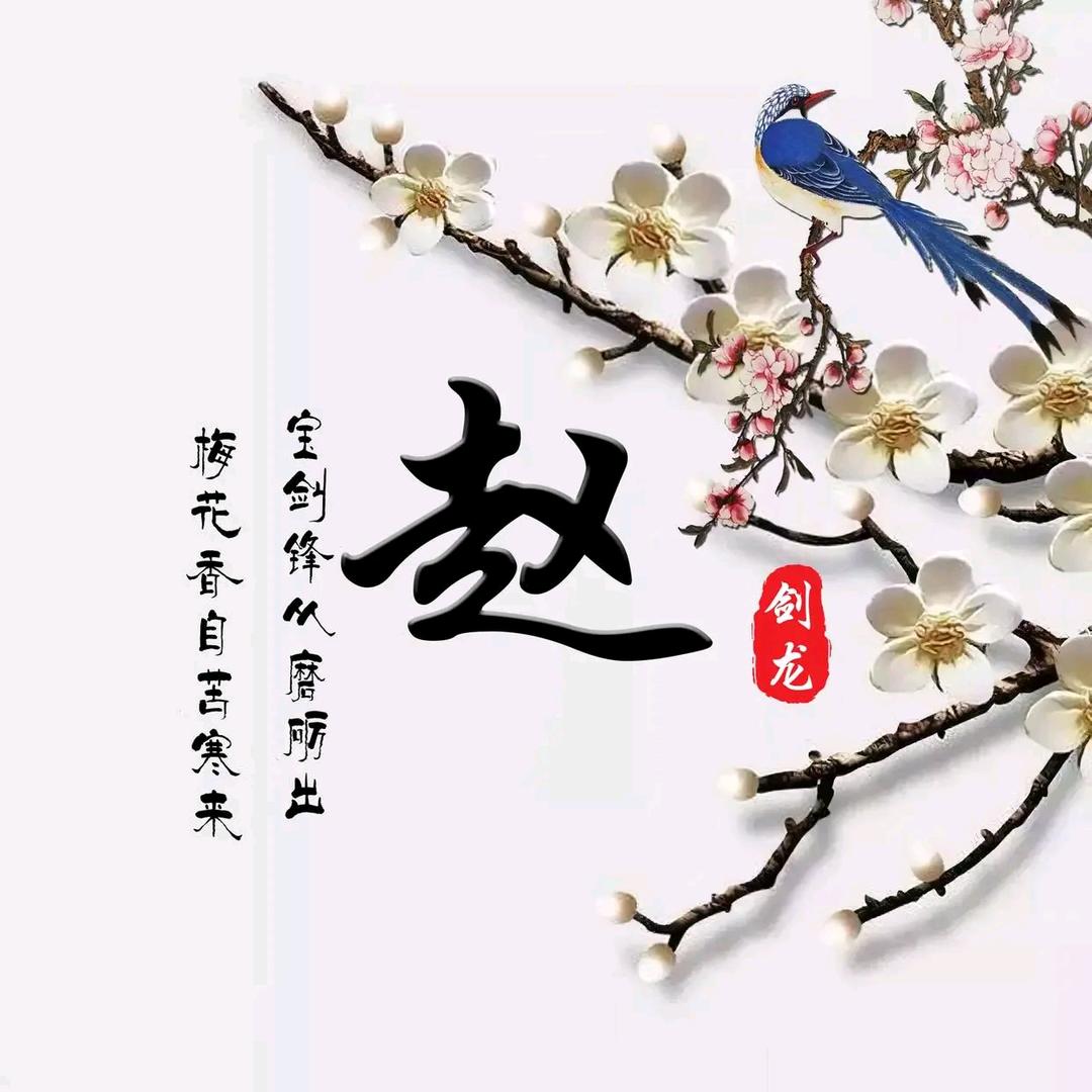 赵伟东