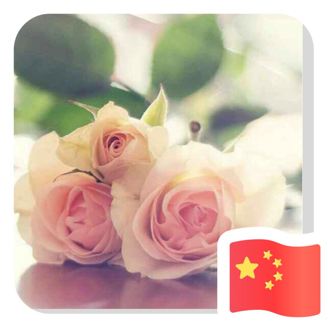 小灵子