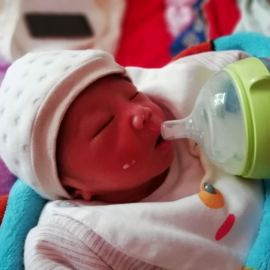 🌈🌈发际线超高的黎老师🌈🌈