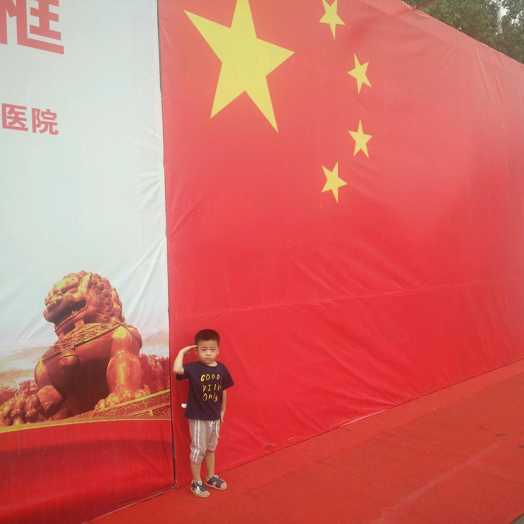 自由的雄鹰