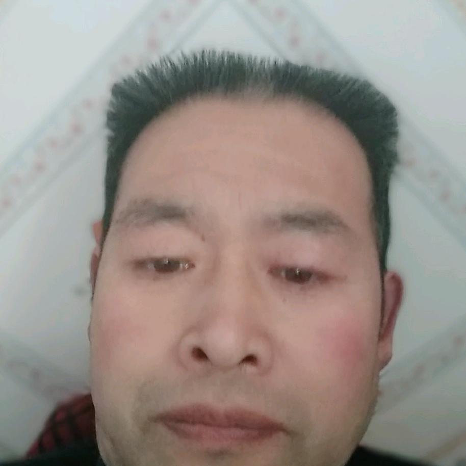 老庞