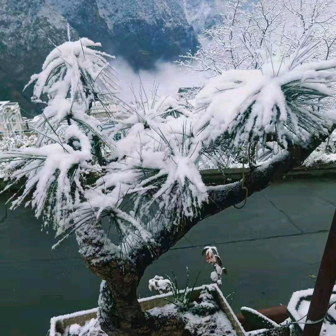 回忆深处