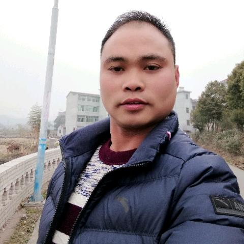 杨哥