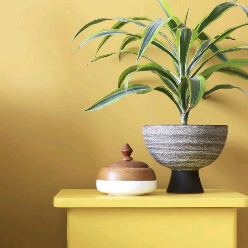 💖ღ情🈶᭄独ღ钟᭄ꦿ꯭💖