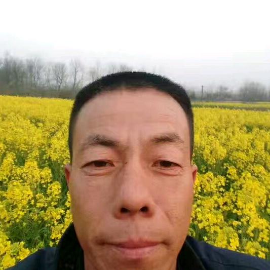 王建海