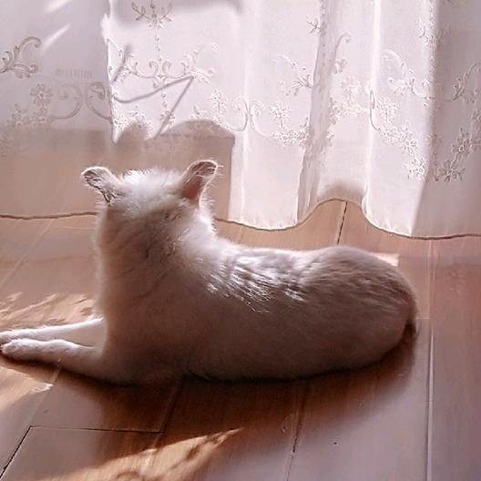 🌈七月の夏天