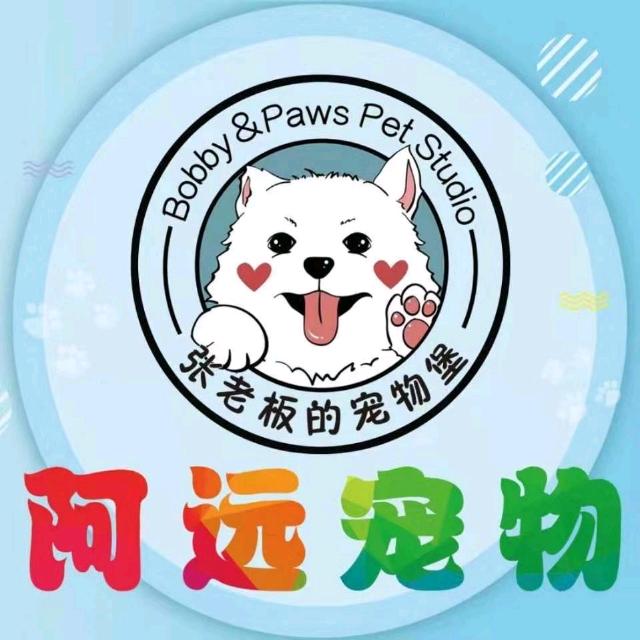文安北关阿远宠物