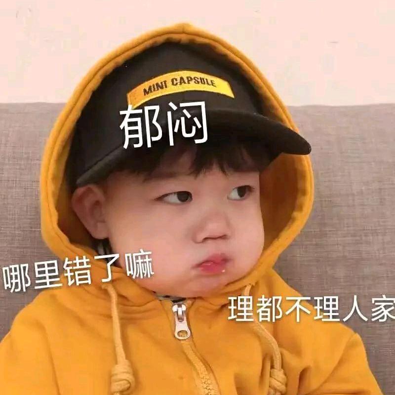 会飞的巨兔491