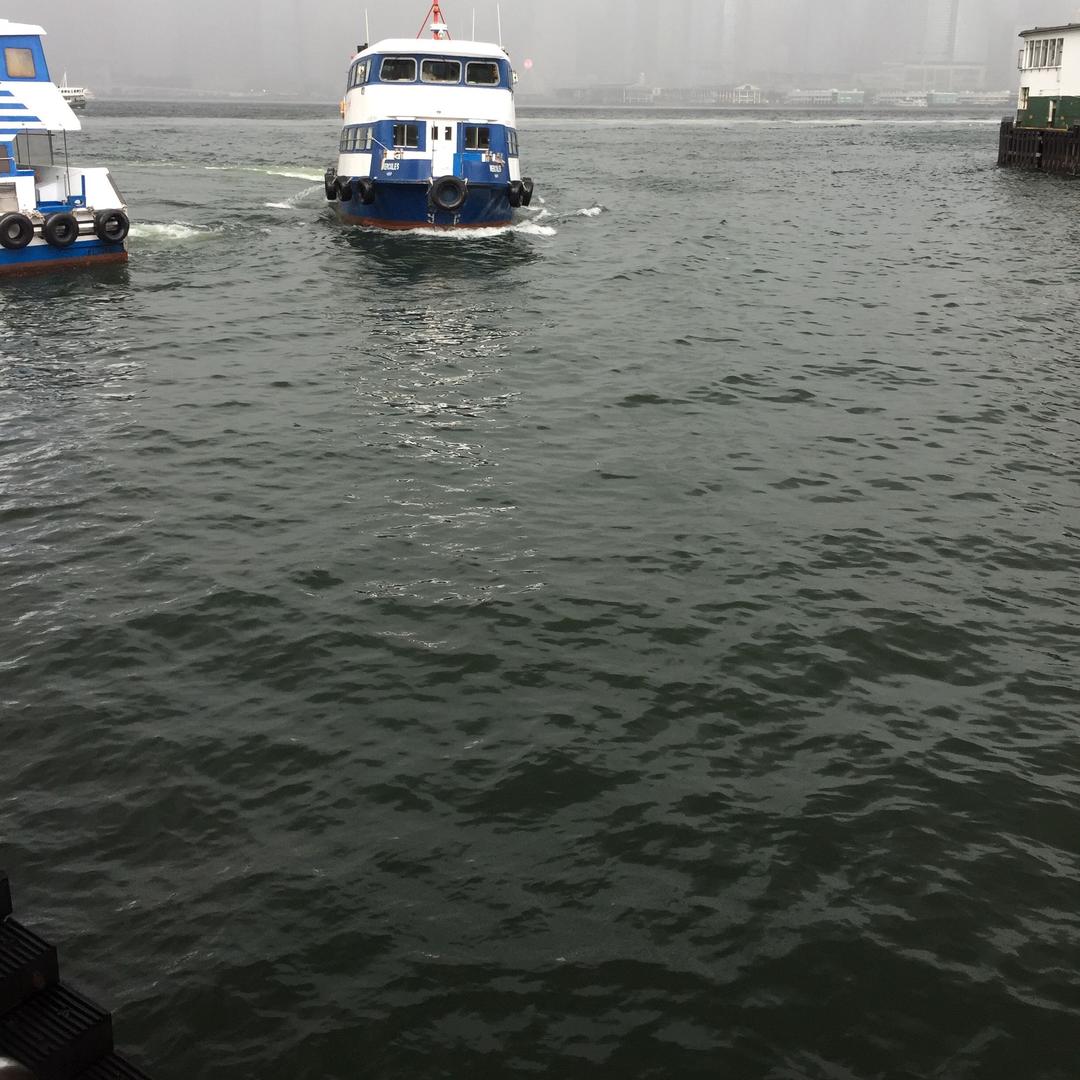阿尔苦尼