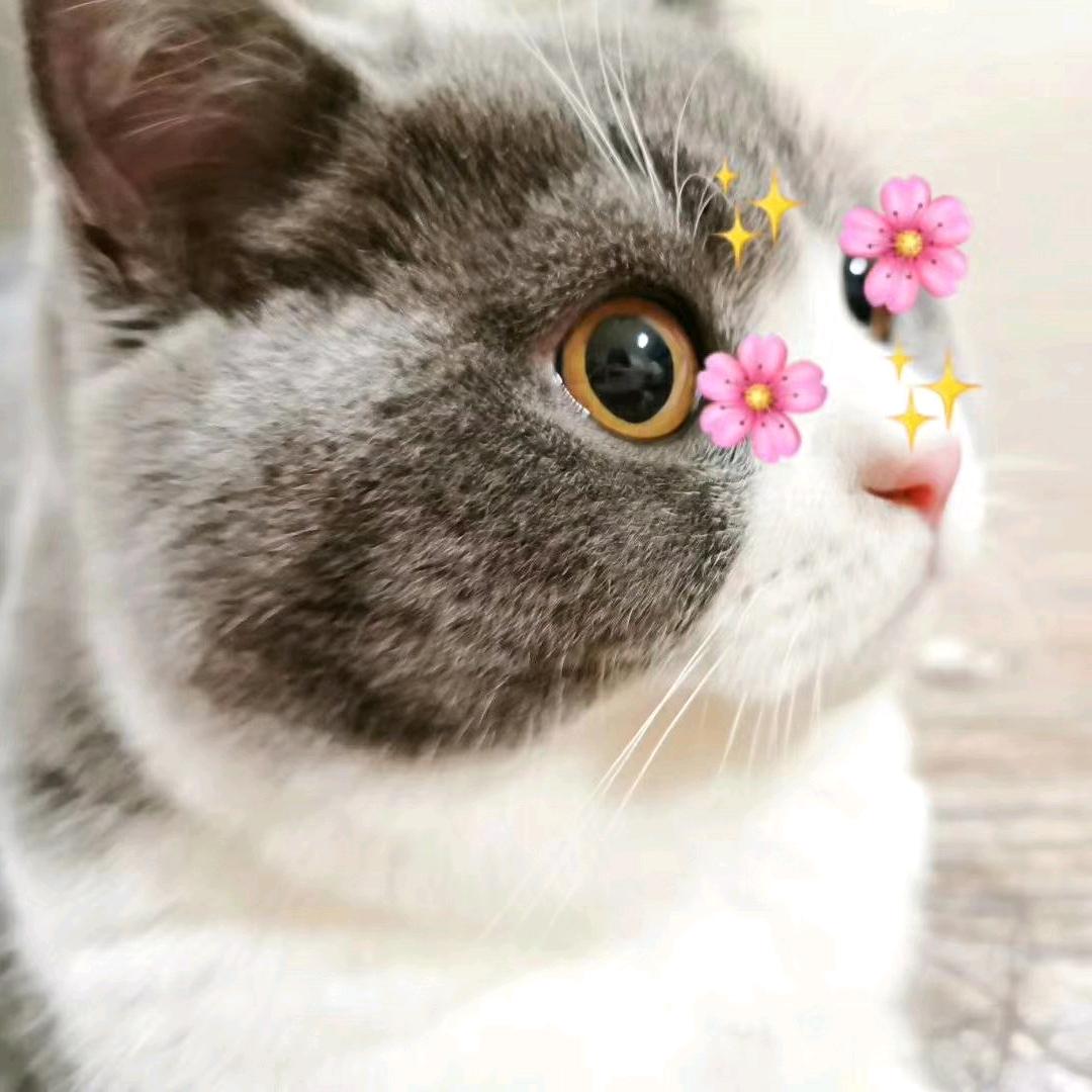 旨说韩语