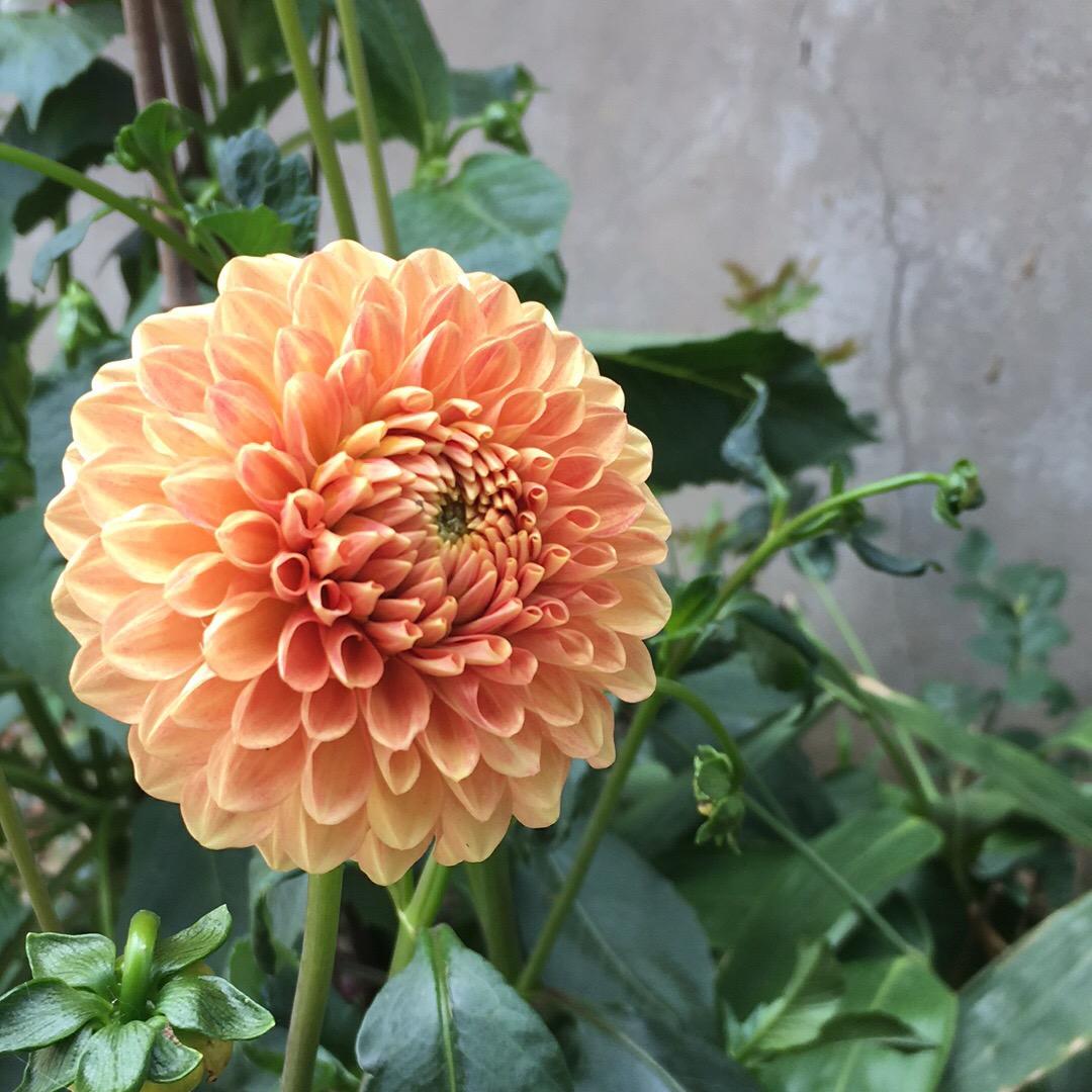 小开心💕