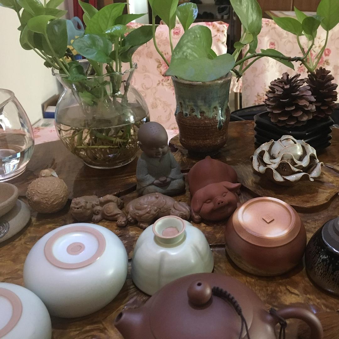梦幻宝贝