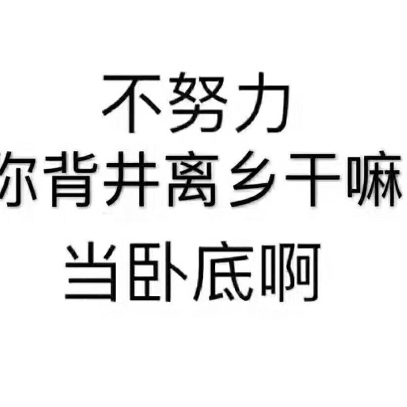 迷路的风 66