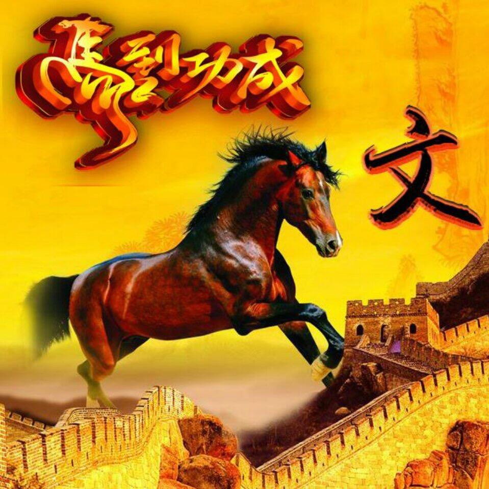执笔绘流年