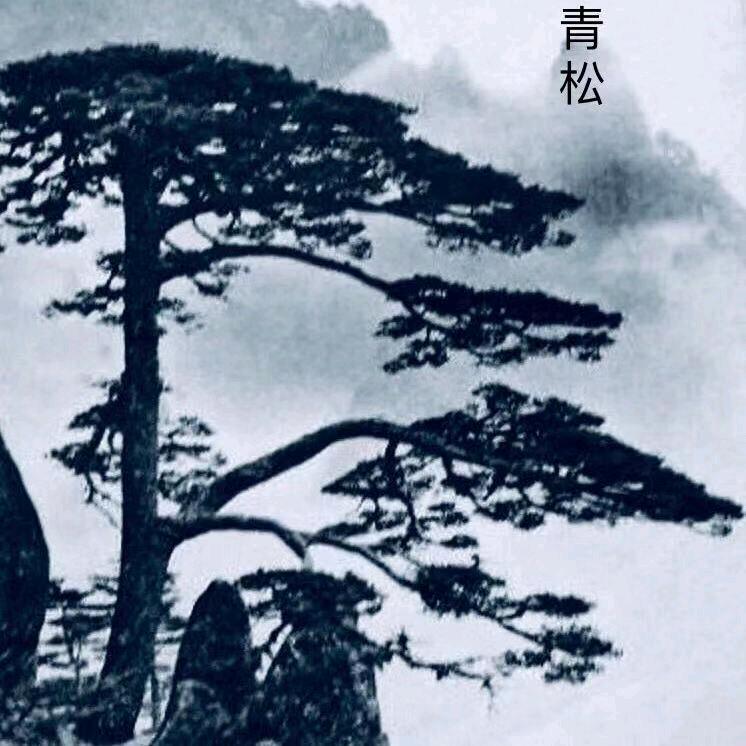 蚂蚁小强