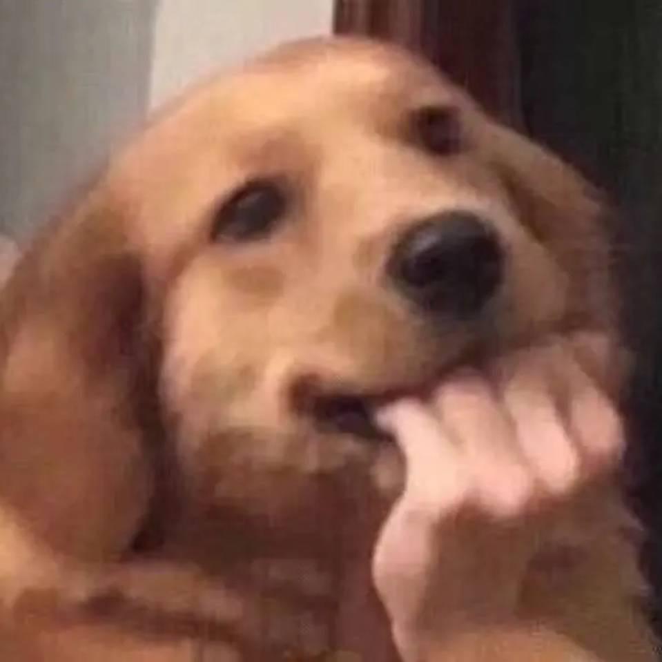 南犰