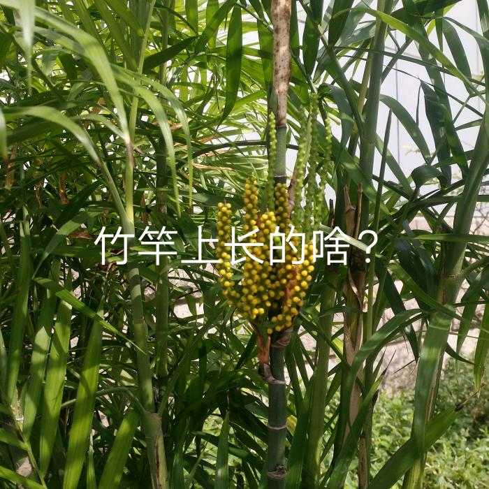用户老刘